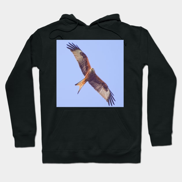 Red Kite in Flight Hoodie by MartynUK